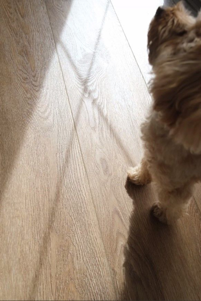 Alpine Floor Liberty Loose Lay LVT ECO 23-5 Макадамия фото 7 | FLOORDEALER